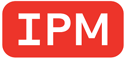 IPM 2021 prestigious business awards winner best executive leadership small business small companies