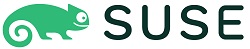 SUSE 2021 prestigious business awards executive leadership winner