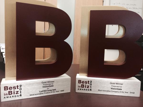 prestigious business awards award-winning entries