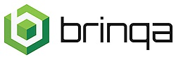 Brinqa Best in Biz Awards 2020 best business awards enterprise product security software winner