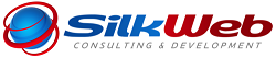 SilkWeb Consulting & Development Best in Biz Awards 2021 best place to work small company winner prestigious business awards