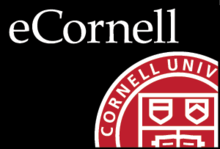 eCornell prestigious business awards winner most customer friendly company category