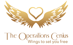 The Operations Genius 2025 prestigious international business awards best company winner